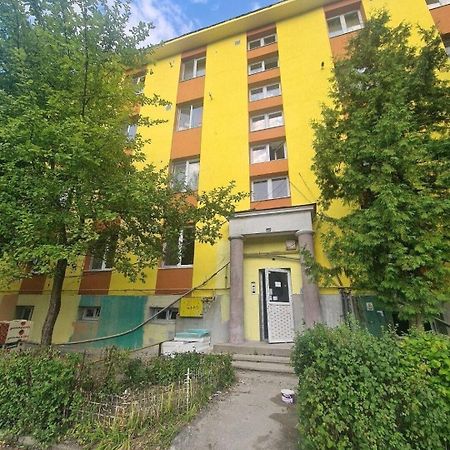Mural Art Apartament Petroşani Buitenkant foto
