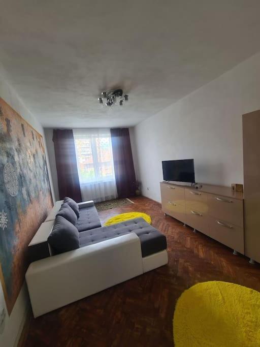 Mural Art Apartament Petroşani Buitenkant foto